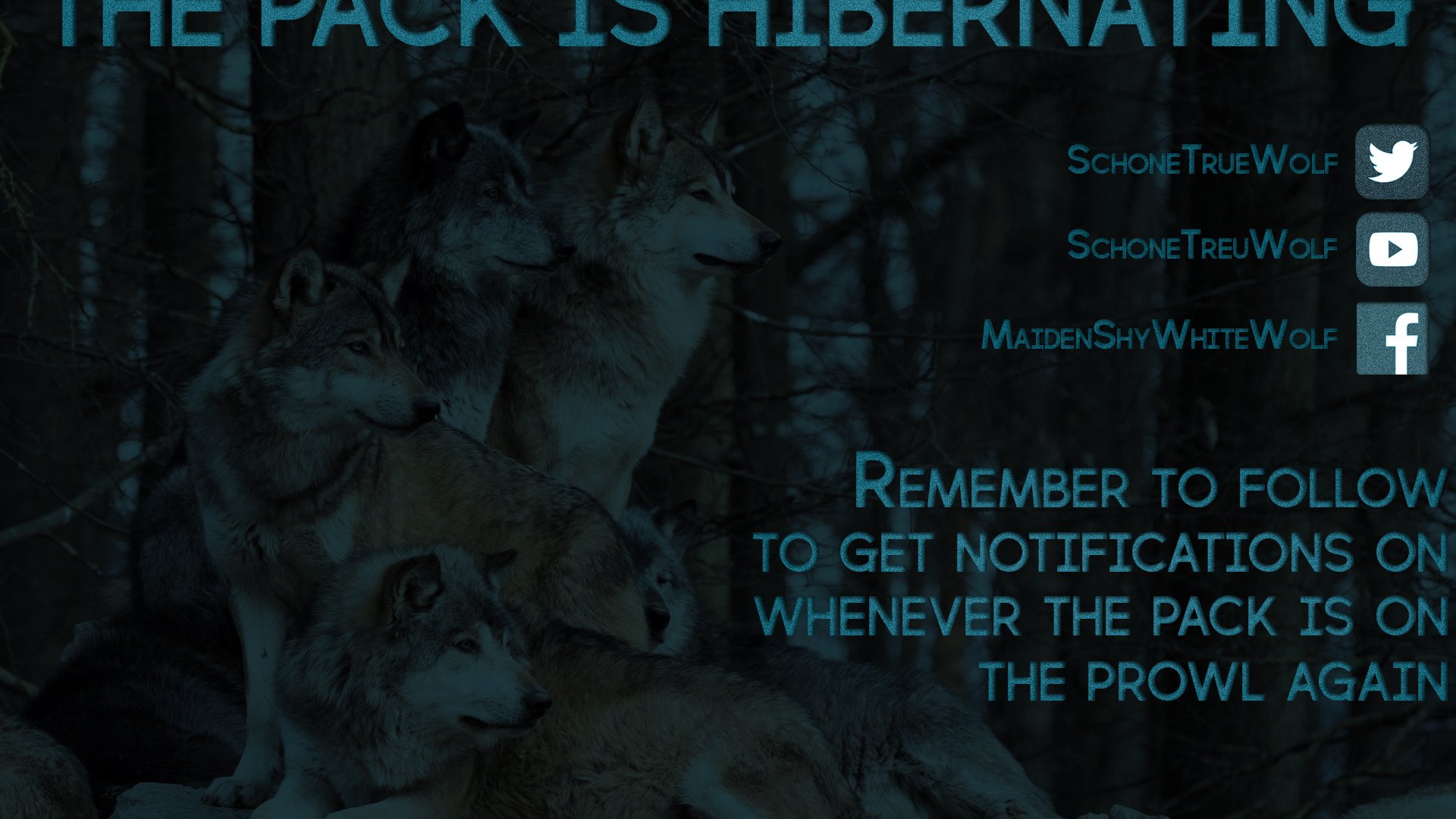 MaidenShyWhiteWolf Offline Background