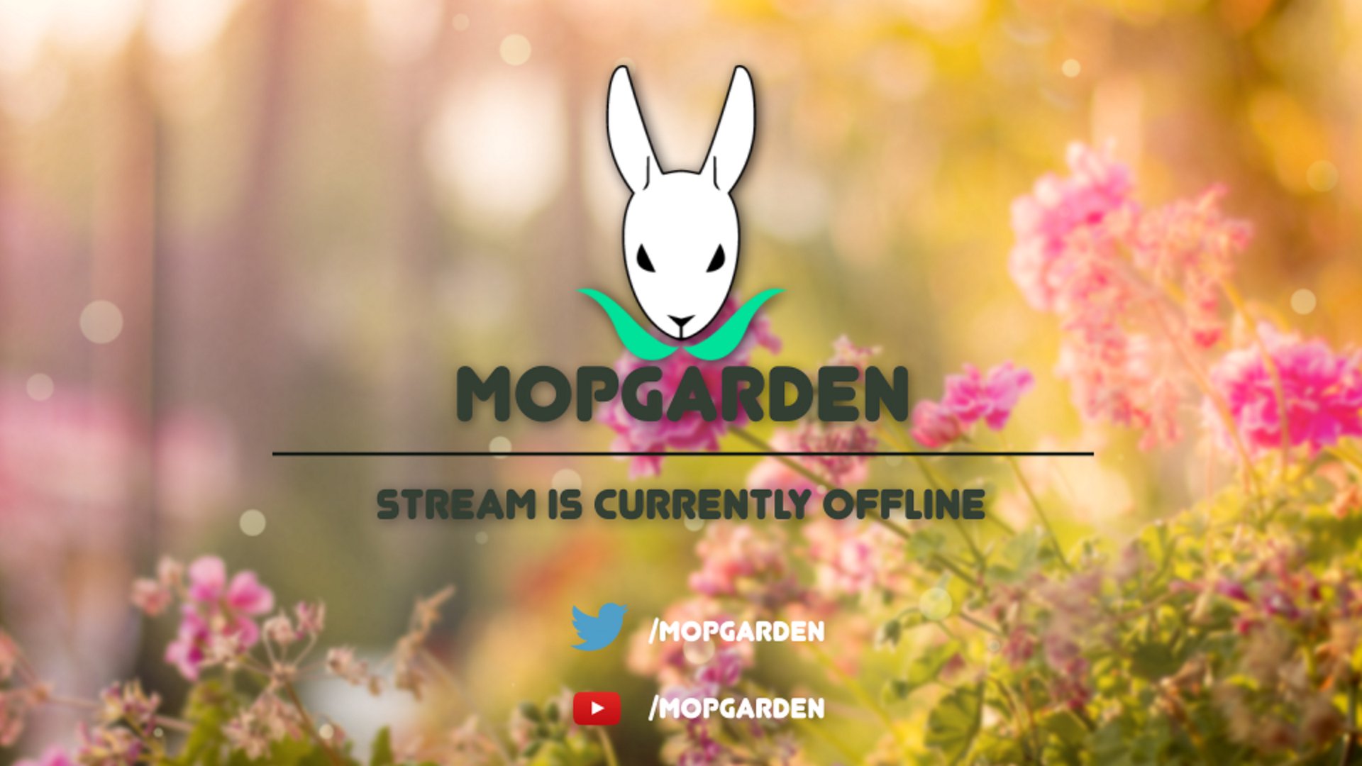 MopGarden Offline Background