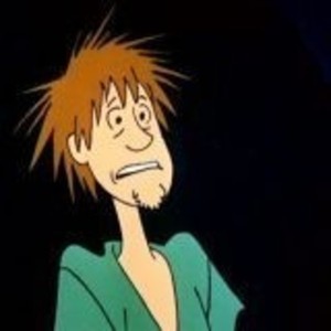 shaggy3311