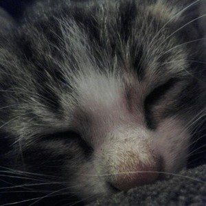 Supersweatt